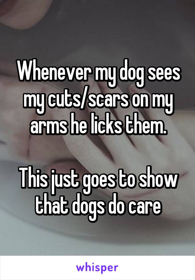 Whenever my dog sees my cuts/scars on my arms he licks them.

This just goes to show that dogs do care