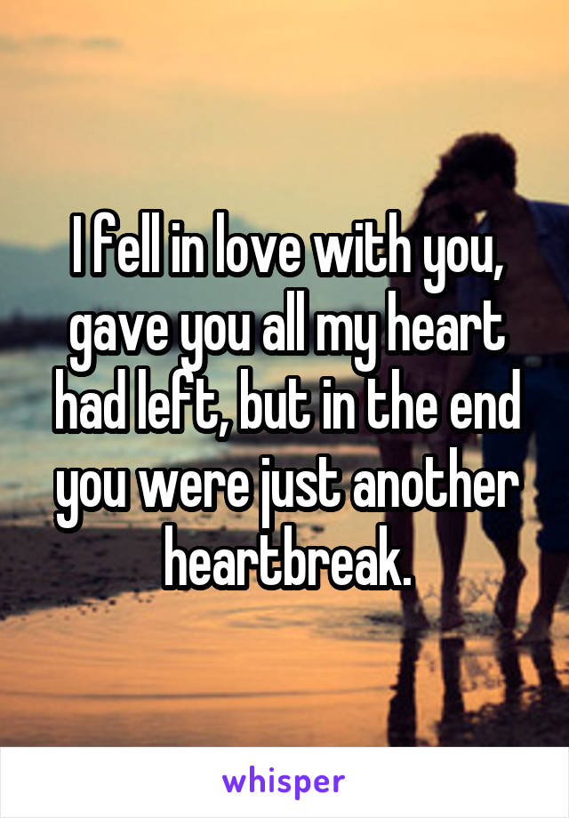 I fell in love with you, gave you all my heart had left, but in the end you were just another heartbreak.