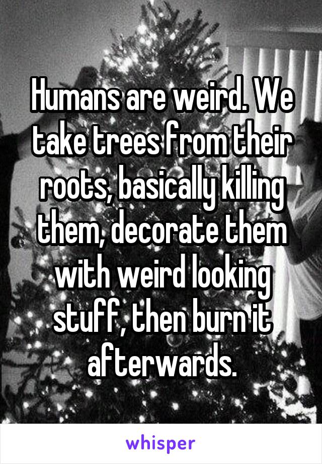 Humans are weird. We take trees from their roots, basically killing them, decorate them with weird looking stuff, then burn it afterwards.