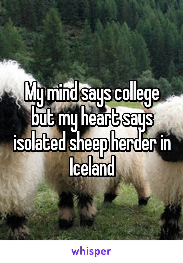 My mind says college but my heart says isolated sheep herder in Iceland