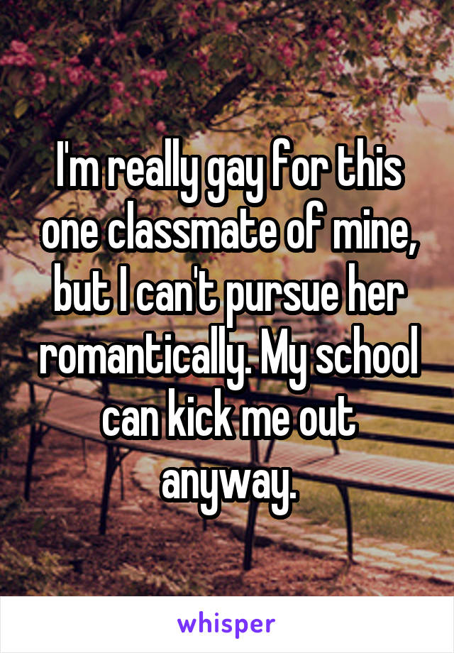 I'm really gay for this one classmate of mine, but I can't pursue her romantically. My school can kick me out anyway.