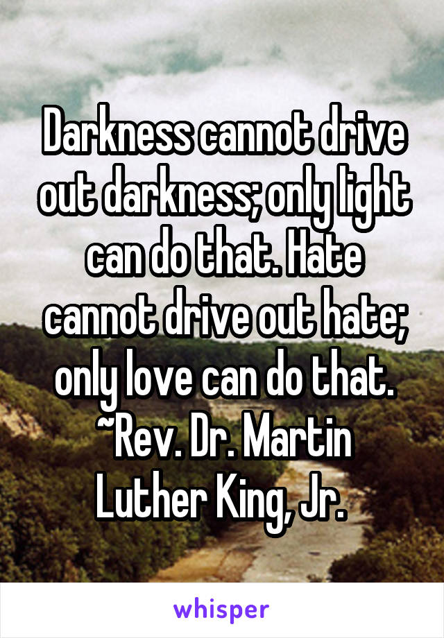 Darkness cannot drive out darkness; only light can do that. Hate cannot drive out hate; only love can do that.
~Rev. Dr. Martin Luther King, Jr. 