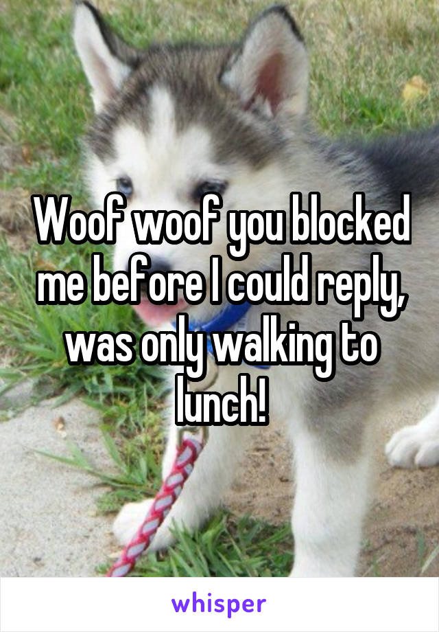 Woof woof you blocked me before I could reply, was only walking to lunch!