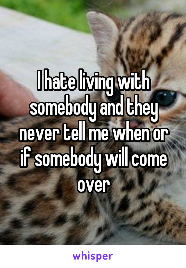 I hate living with somebody and they never tell me when or if somebody will come over
