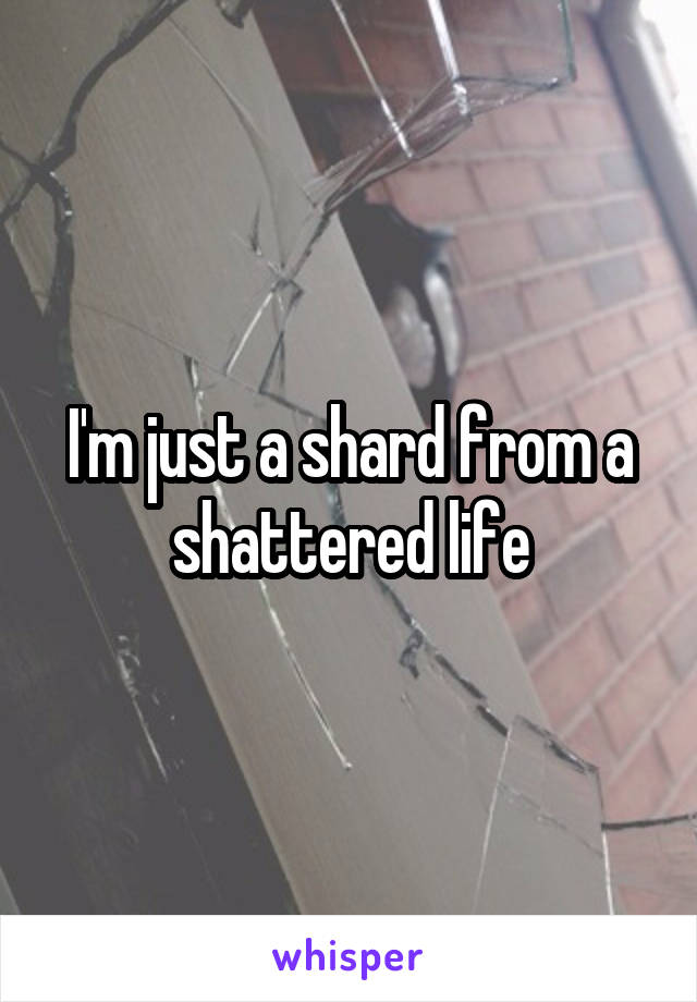 I'm just a shard from a shattered life