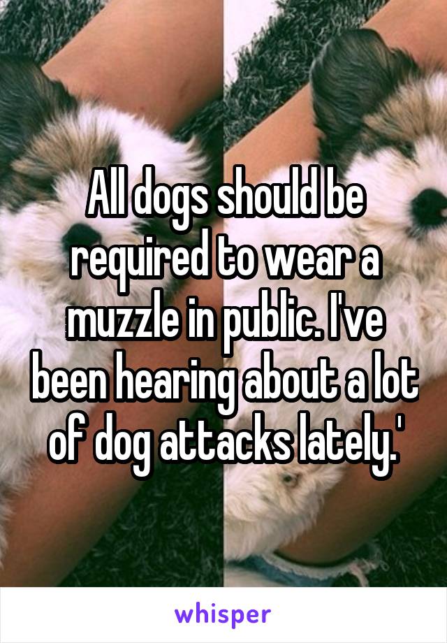 All dogs should be required to wear a muzzle in public. I've been hearing about a lot of dog attacks lately.'