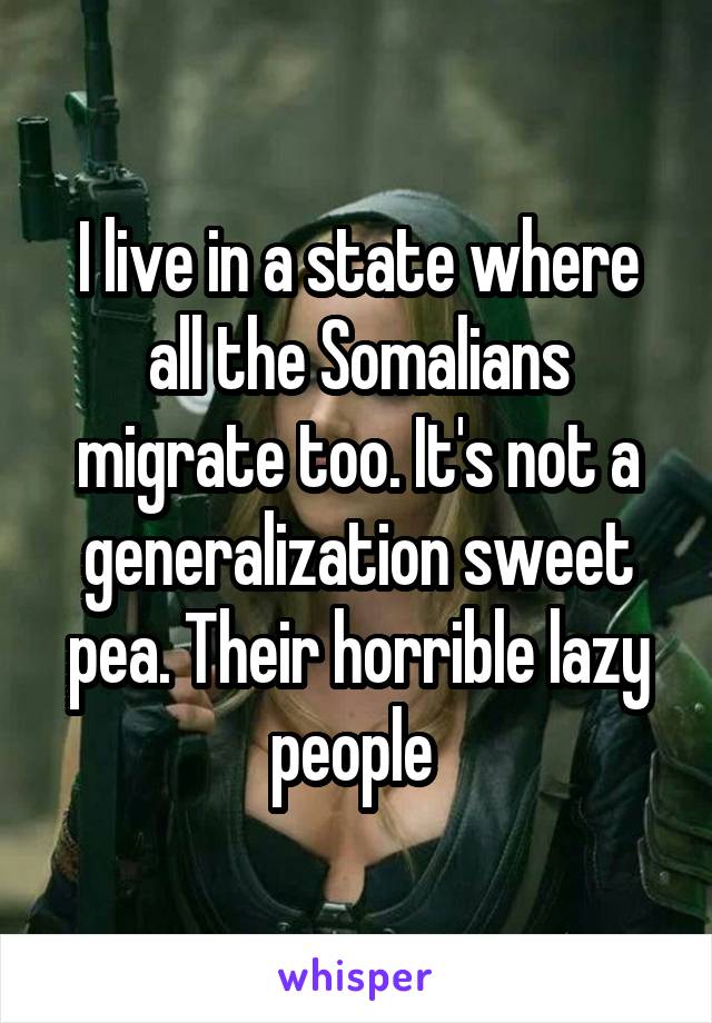 I live in a state where all the Somalians migrate too. It's not a generalization sweet pea. Their horrible lazy people 