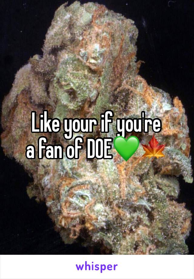 Like your if you're 
a fan of DOE💚🍁