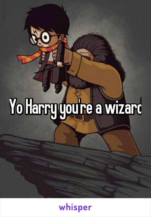 Yo Harry you're a wizard