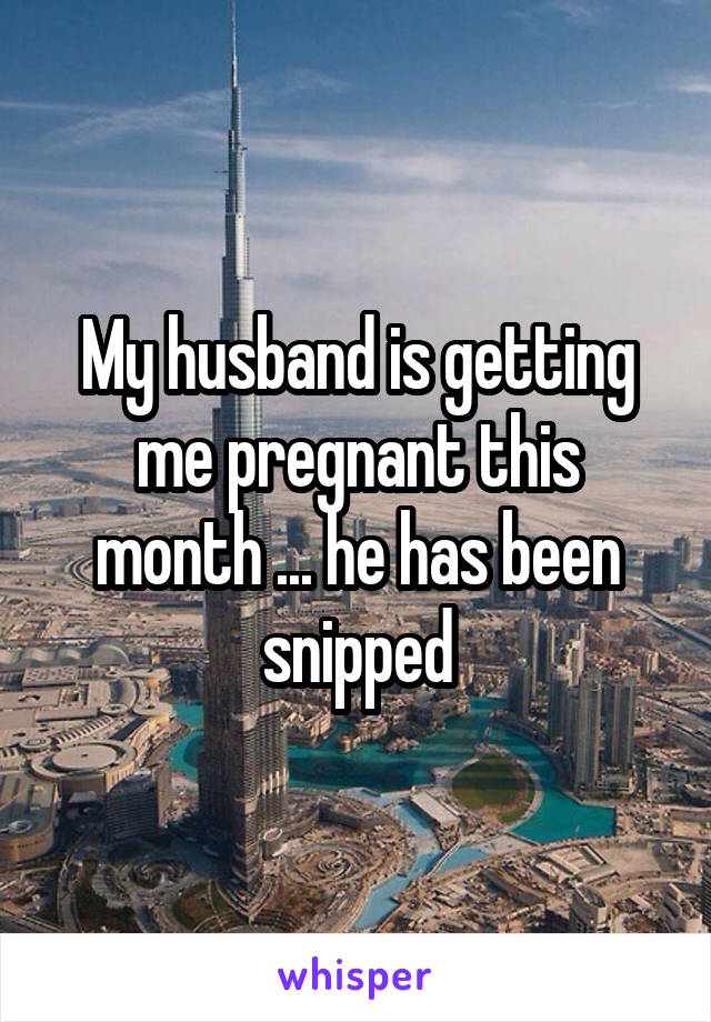 My husband is getting me pregnant this month ... he has been snipped