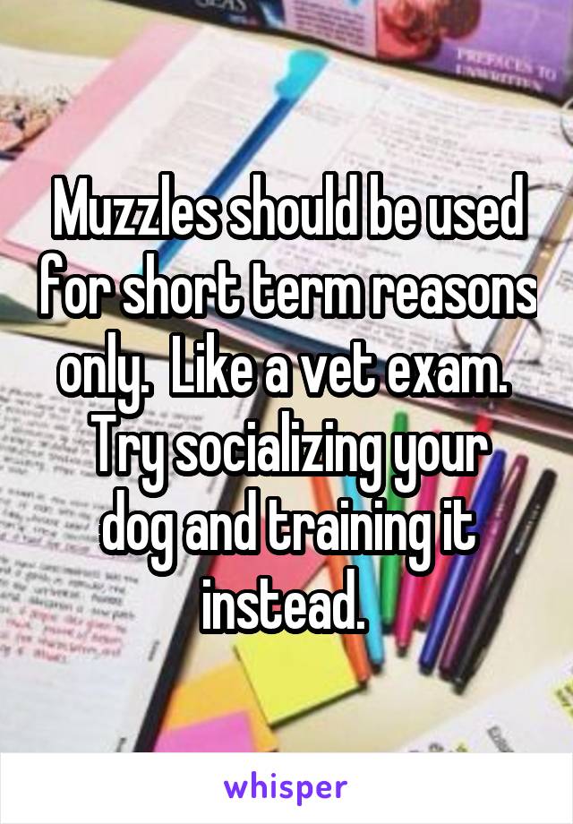 Muzzles should be used for short term reasons only.  Like a vet exam. 
Try socializing your dog and training it instead. 