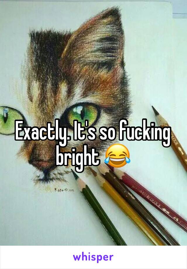 Exactly. It's so fucking bright 😂