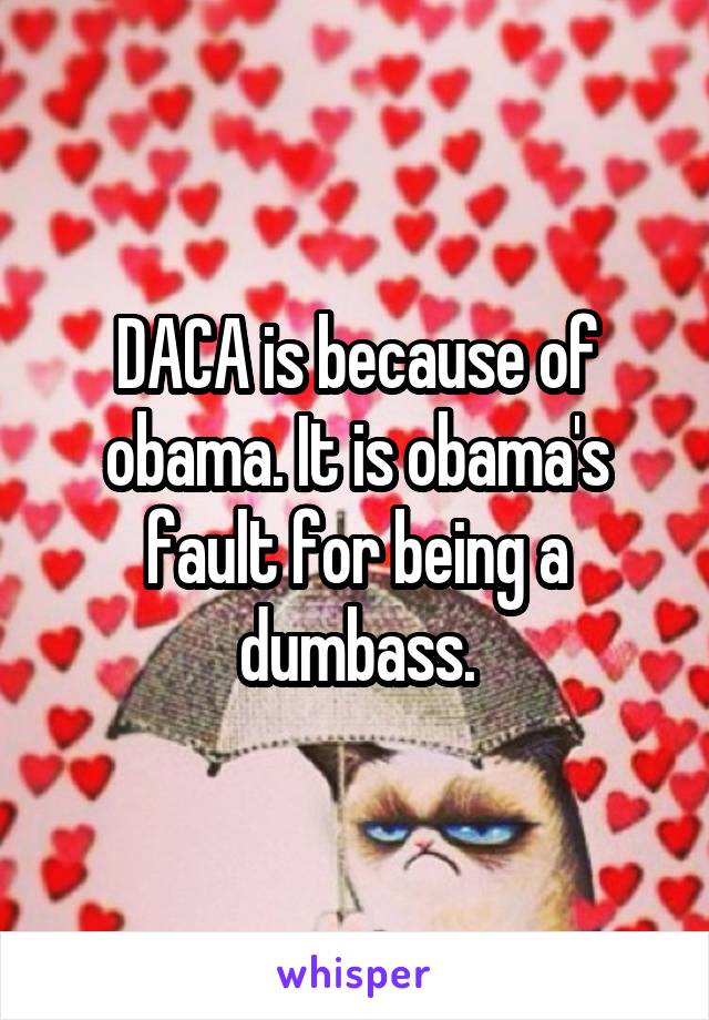 DACA is because of obama. It is obama's fault for being a dumbass.