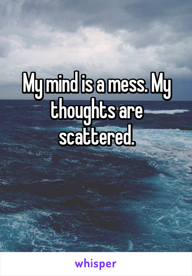 My mind is a mess. My thoughts are scattered.

