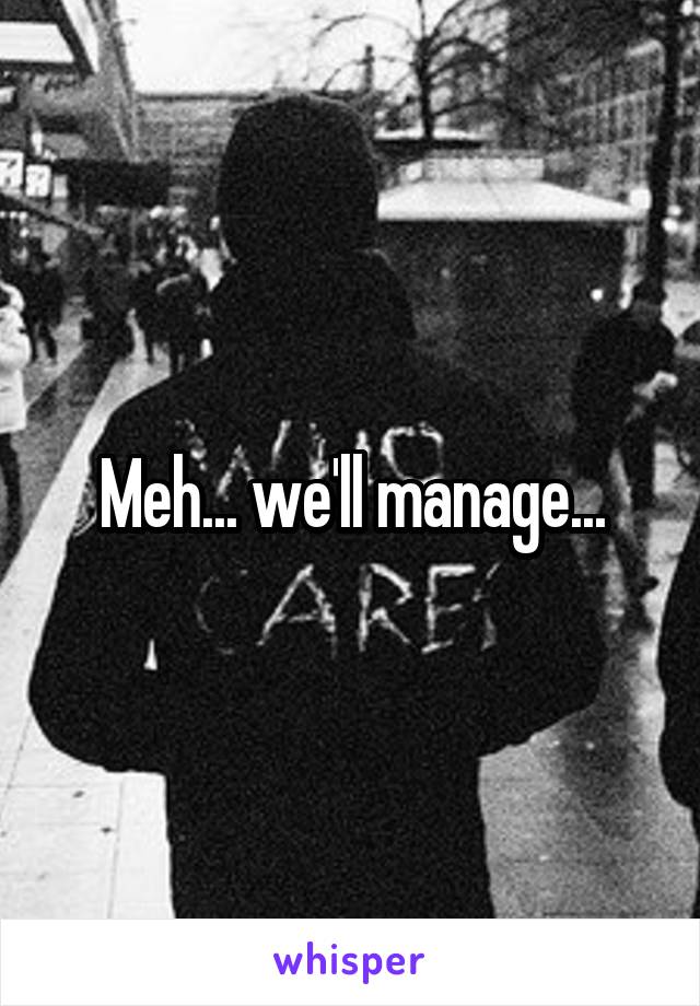 Meh... we'll manage...