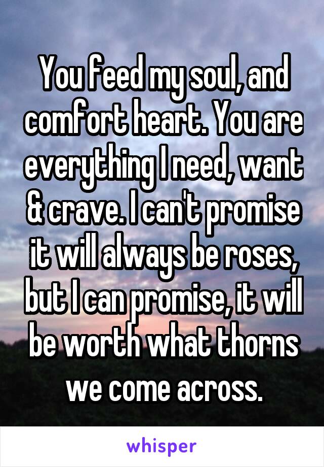 You feed my soul, and comfort heart. You are everything I need, want & crave. I can't promise it will always be roses, but I can promise, it will be worth what thorns we come across.