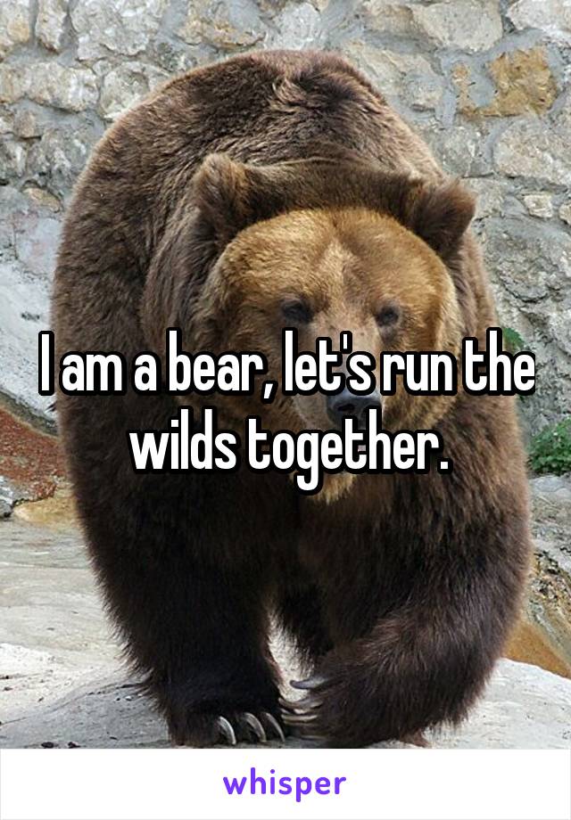I am a bear, let's run the wilds together.