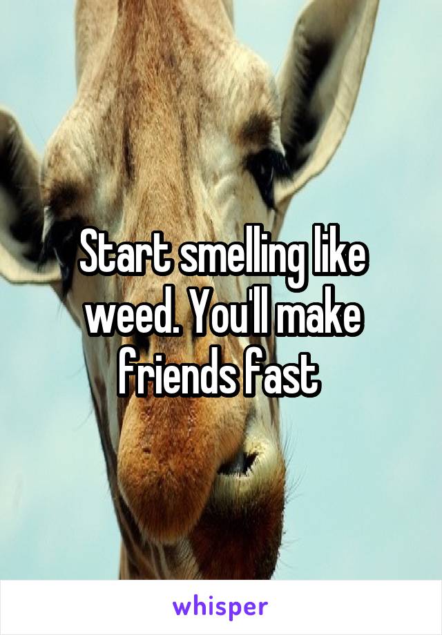 Start smelling like weed. You'll make friends fast 