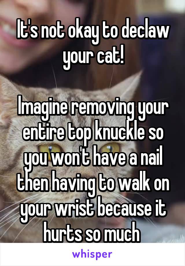 It's not okay to declaw your cat!

Imagine removing your entire top knuckle so you won't have a nail then having to walk on your wrist because it hurts so much 