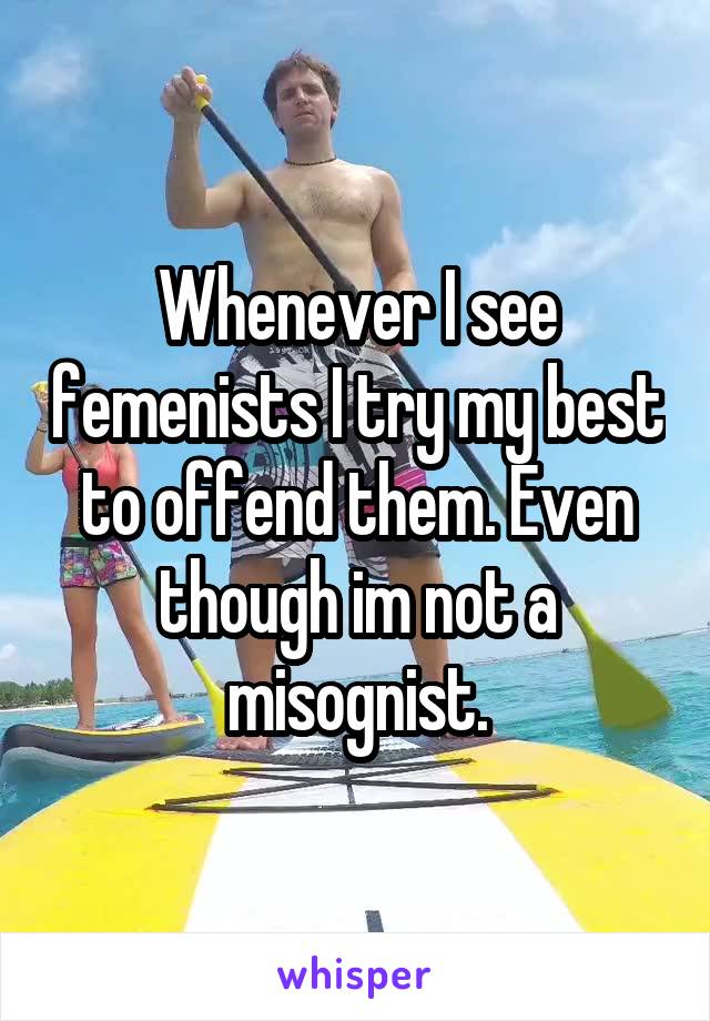 Whenever I see femenists I try my best to offend them. Even though im not a misognist.