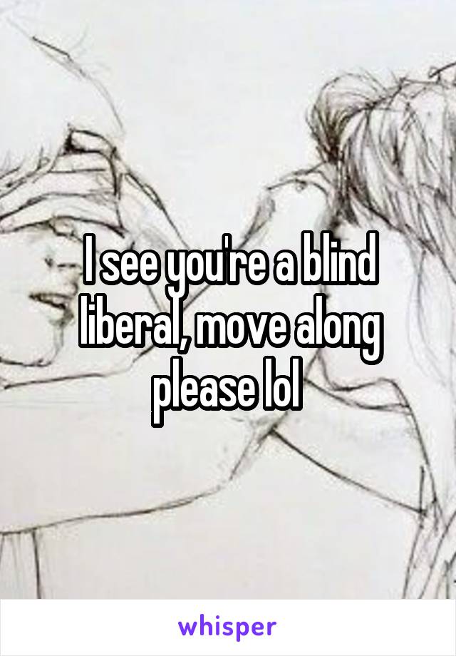 I see you're a blind liberal, move along please lol 