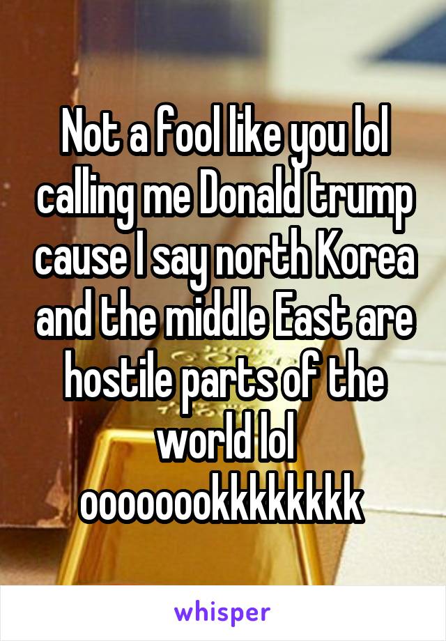 Not a fool like you lol calling me Donald trump cause I say north Korea and the middle East are hostile parts of the world lol oooooookkkkkkkk 