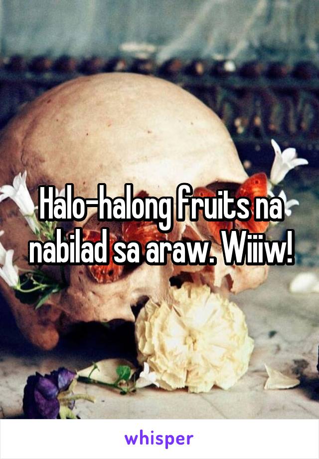 Halo-halong fruits na nabilad sa araw. Wiiiw!