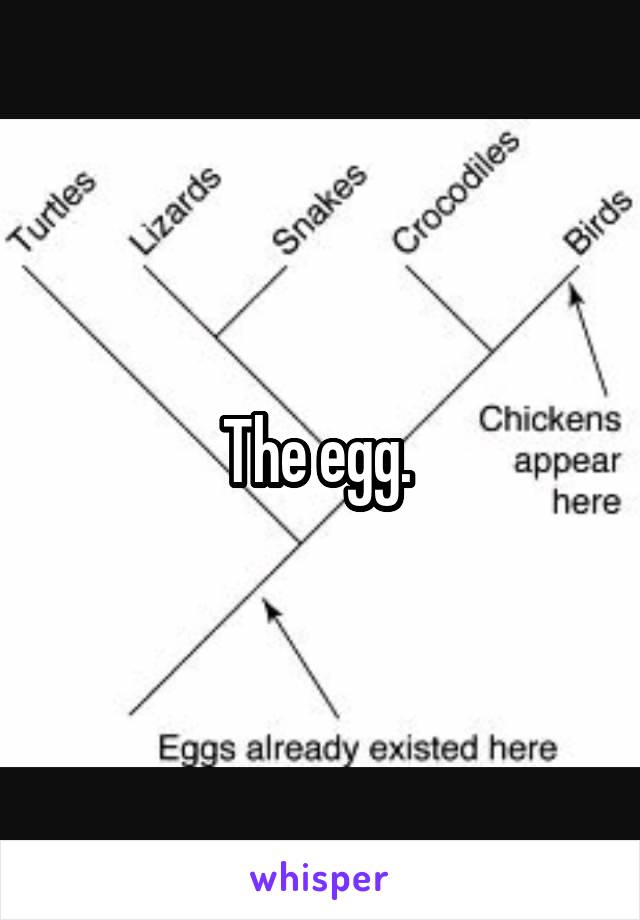 The egg. 