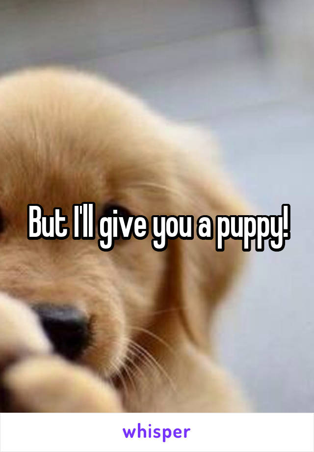 But I'll give you a puppy!
