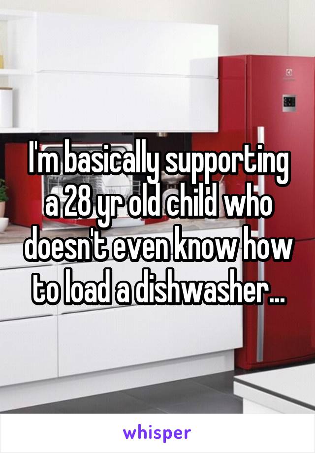 I'm basically supporting a 28 yr old child who doesn't even know how to load a dishwasher...