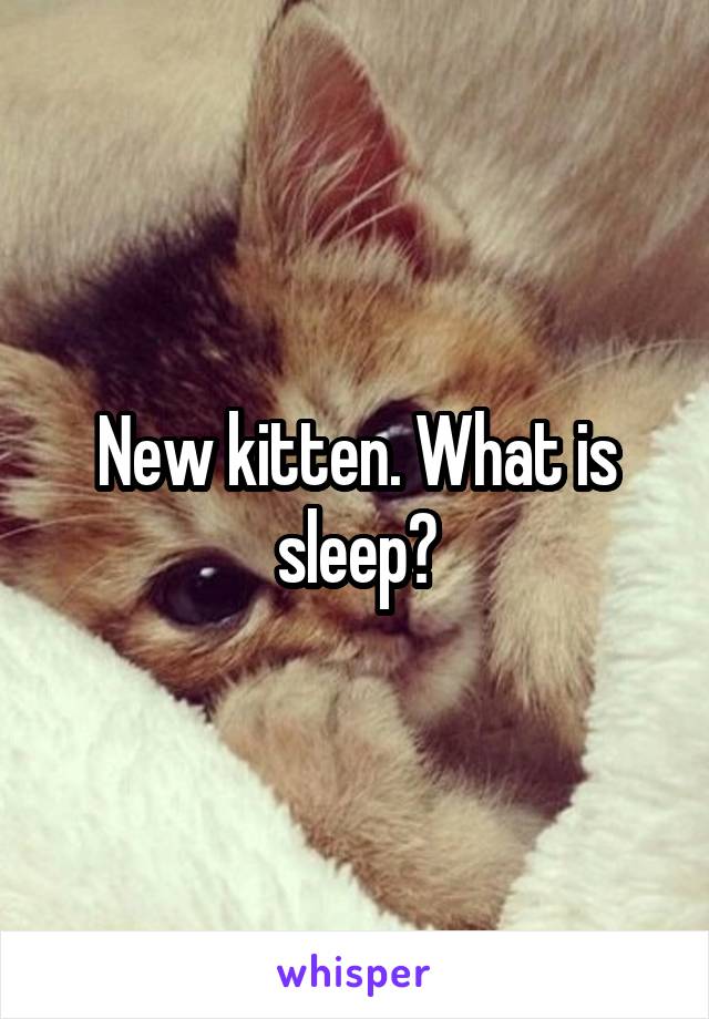 New kitten. What is sleep?