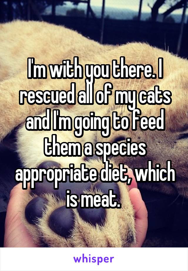 I'm with you there. I rescued all of my cats and I'm going to feed them a species appropriate diet, which is meat. 