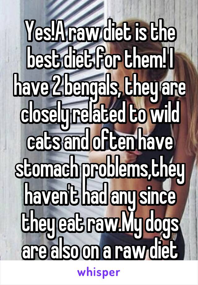 Yes!A raw diet is the best diet for them! I have 2 bengals, they are closely related to wild cats and often have stomach problems,they haven't had any since they eat raw.My dogs are also on a raw diet