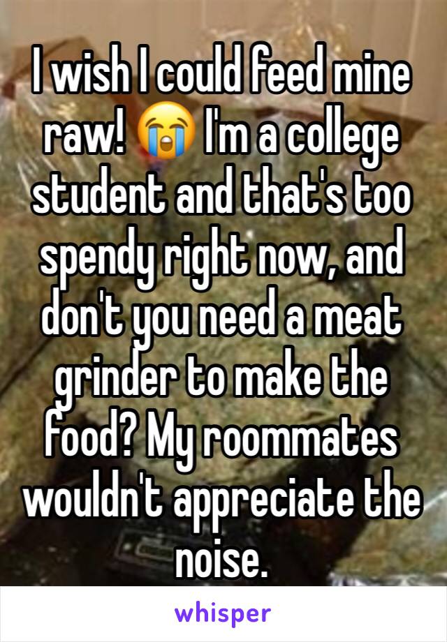 I wish I could feed mine raw! 😭 I'm a college student and that's too spendy right now, and don't you need a meat grinder to make the food? My roommates wouldn't appreciate the noise.