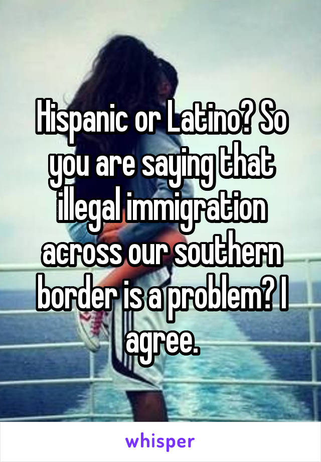 Hispanic or Latino? So you are saying that illegal immigration across our southern border is a problem? I agree.