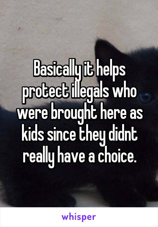 Basically it helps protect illegals who were brought here as kids since they didnt really have a choice.