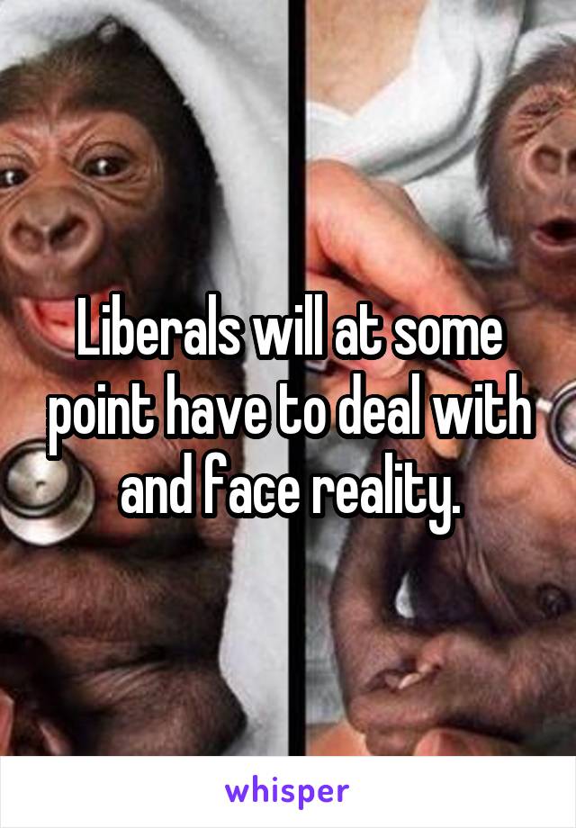 Liberals will at some point have to deal with and face reality.