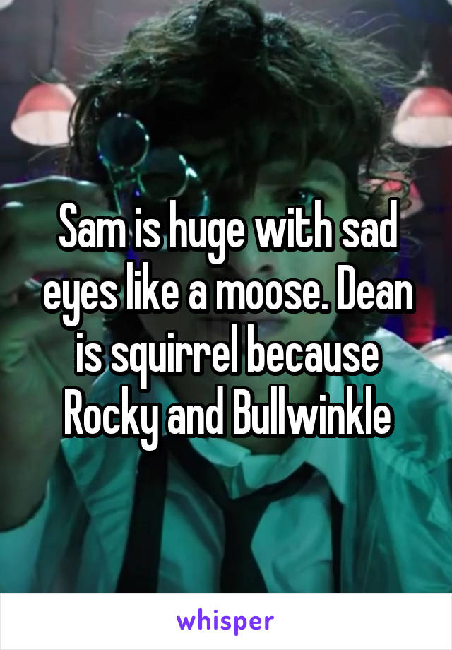 Sam is huge with sad eyes like a moose. Dean is squirrel because Rocky and Bullwinkle