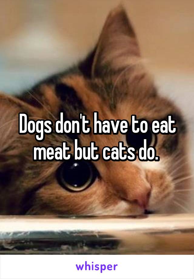Dogs don't have to eat meat but cats do. 