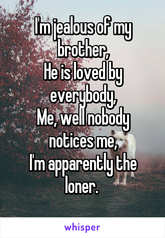 I'm jealous of my brother,
He is loved by everybody,
Me, well nobody notices me,
I'm apparently the loner. 
