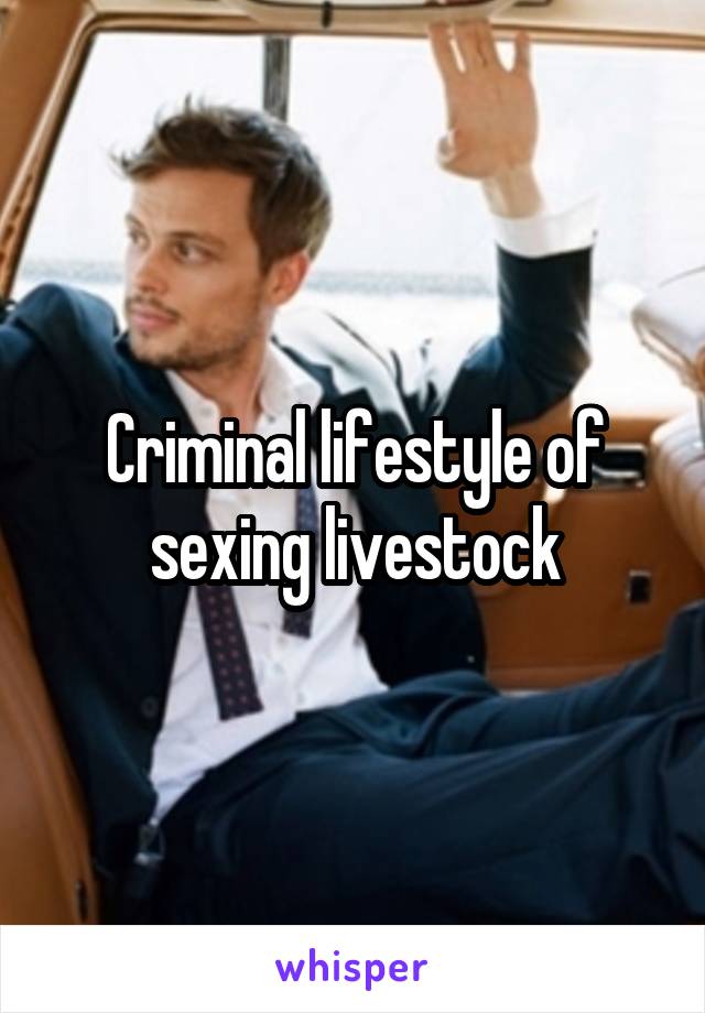 Criminal lifestyle of sexing livestock