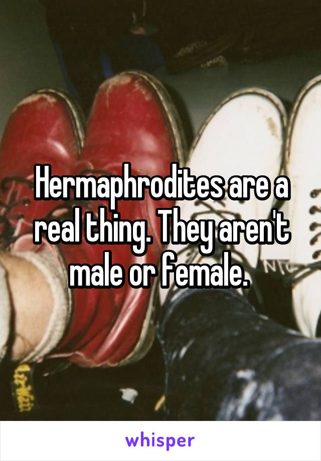 Hermaphrodites Are A Real Thing They Aren T Male Or Female