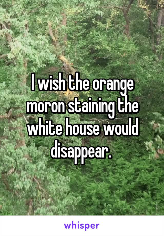 I wish the orange moron staining the white house would disappear. 
