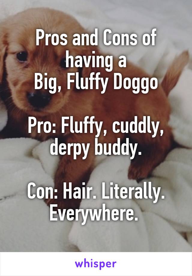 Pros and Cons of having a
Big, Fluffy Doggo

Pro: Fluffy, cuddly, derpy buddy.

Con: Hair. Literally. Everywhere. 

