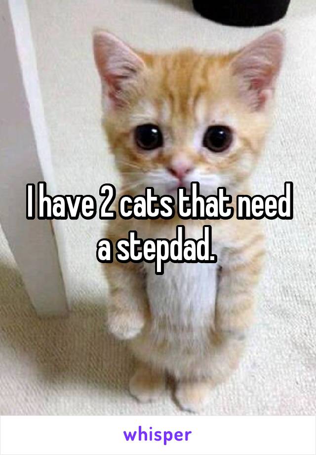 I have 2 cats that need a stepdad. 