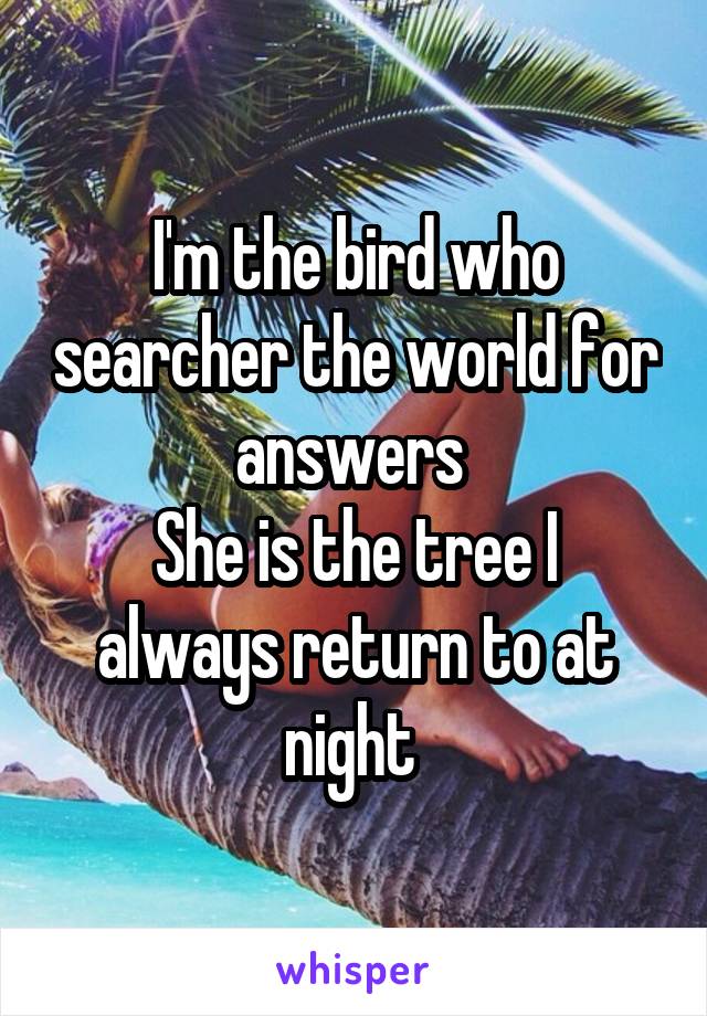 I'm the bird who searcher the world for answers 
She is the tree I always return to at night 
