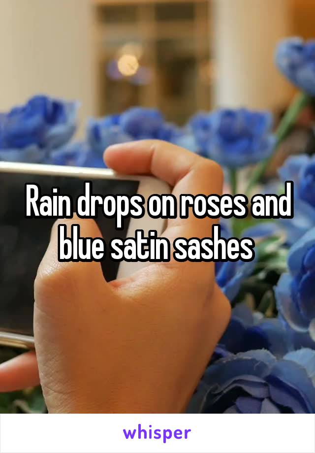 Rain drops on roses and blue satin sashes 