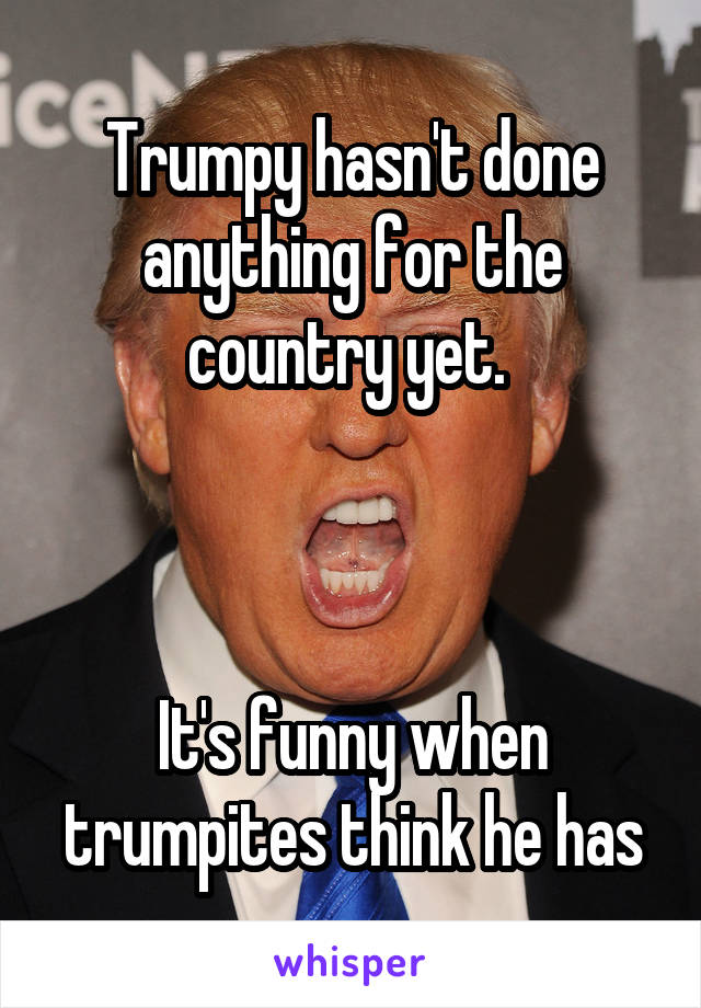 Trumpy hasn't done anything for the country yet. 



It's funny when trumpites think he has