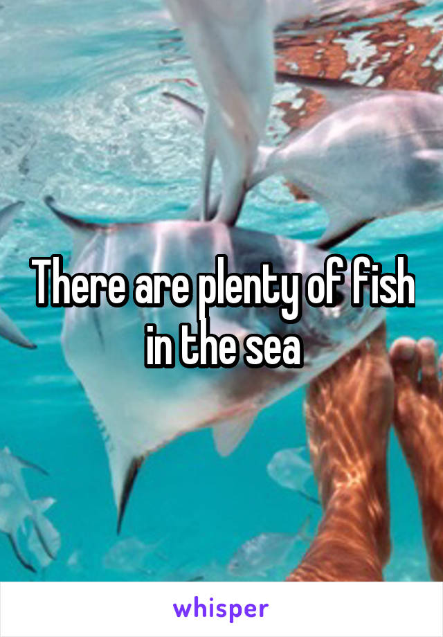 There are plenty of fish in the sea