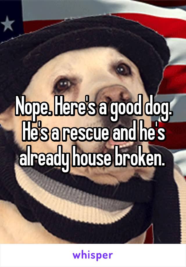 Nope. Here's a good dog. He's a rescue and he's already house broken. 